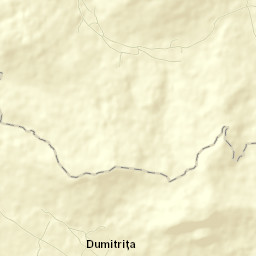 Dumitrița Street Map