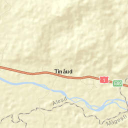 Aleşd Street Map
