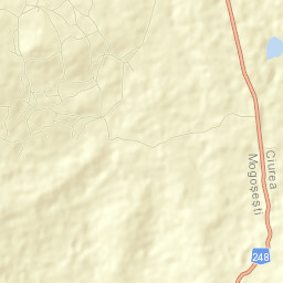 Mogoşeşti Street Map