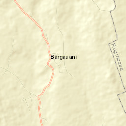 Bârgăuani Street Map