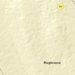 Ruginoasa Street Map