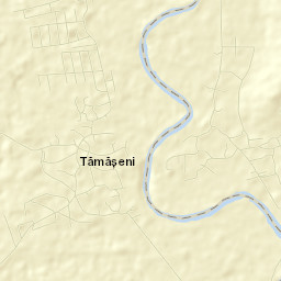 Buruienești Street Map