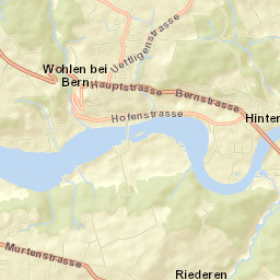 Wohlen Street Map