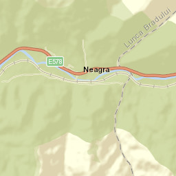 Neagra Street Map
