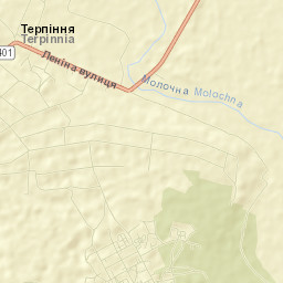Terpinnya Street Map