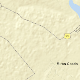 Miron Costin Street Map