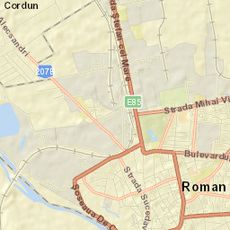 Municipiul Roman Street Map