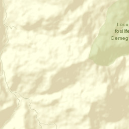 Piatra Neamţ Street Map