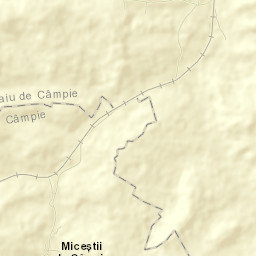 Miceştii de Câmpie Street Map