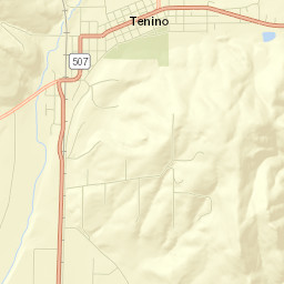 Tenino Street Map