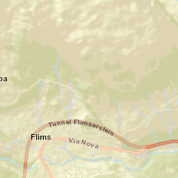 Flims Street Map