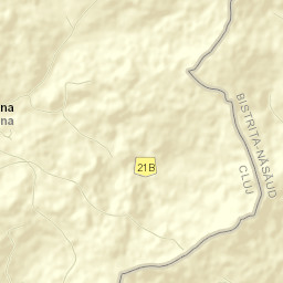 Cătina Street Map