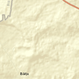 Băița Street Map
