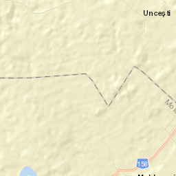 Moldoveni Street Map