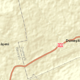 Dumeşti Street Map