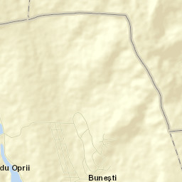 Buneşti Street Map