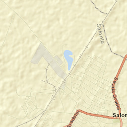 Municipiul Salonta Street Map