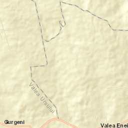 Oniceni Street Map