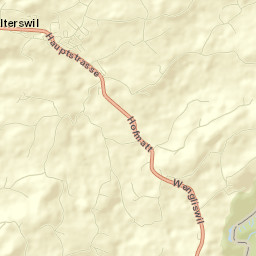Alterswil Street Map