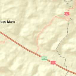 Căpuşu Mare Street Map