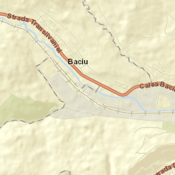 Baciu Street Map
