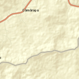 Cămăraşu Street Map