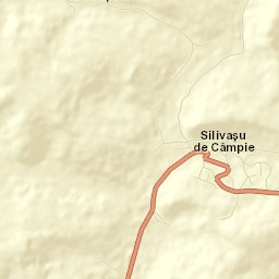 Silivașu de Câmpie Street Map