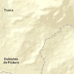 Dubiștea de Pădure Street Map