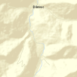 Dămuc Street Map