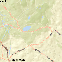 Blumenstein Street Map
