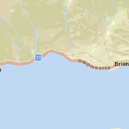 Brienz Street Map
