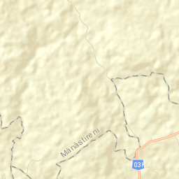 Mânăstireni Street Map