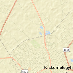 Kiskunfélegyháza Street Map