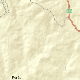 Forău Street Map