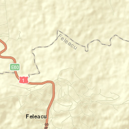 Feleacu Street Map