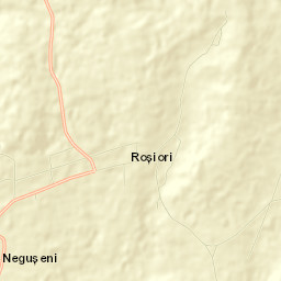 Roşiori Street Map