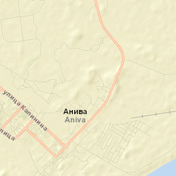 Aniva Street Map