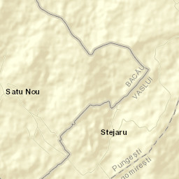 Pungeşti Street Map