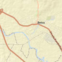 Beiuş Street Map