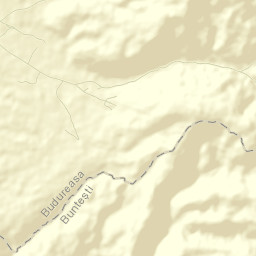 Budureasa Street Map