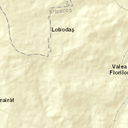 Comuna Ploscoş Street Map