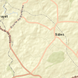 Sâles Street Map