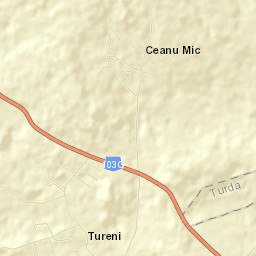 Tureni Street Map