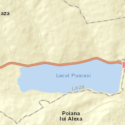 Comuna Puşcaşi Street Map