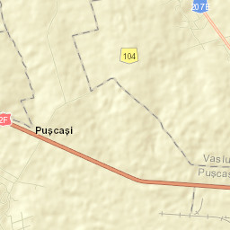 Pușcași Street Map