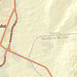 Vaslui Street Map