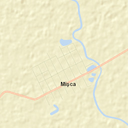 Mișca Street Map
