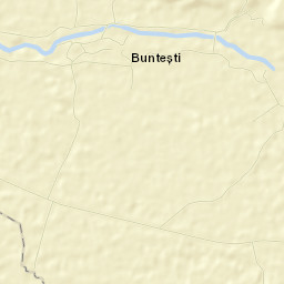 Bunteşti Street Map