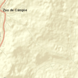 Zau de Câmpie Street Map