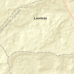 Leorința Street Map